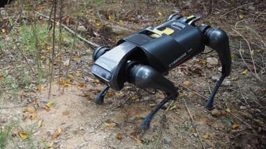 Photos: Robot dog achieves 90% accuracy in finding destructive fire ant nests