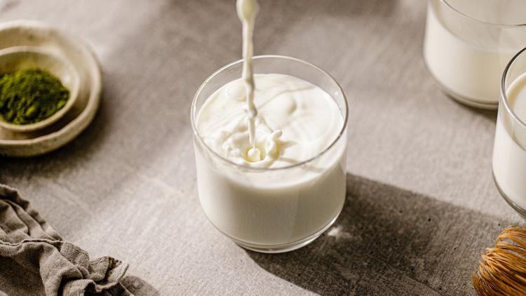 Milk&#8217;s survival secret: How a genetic mutation changed human diet forever