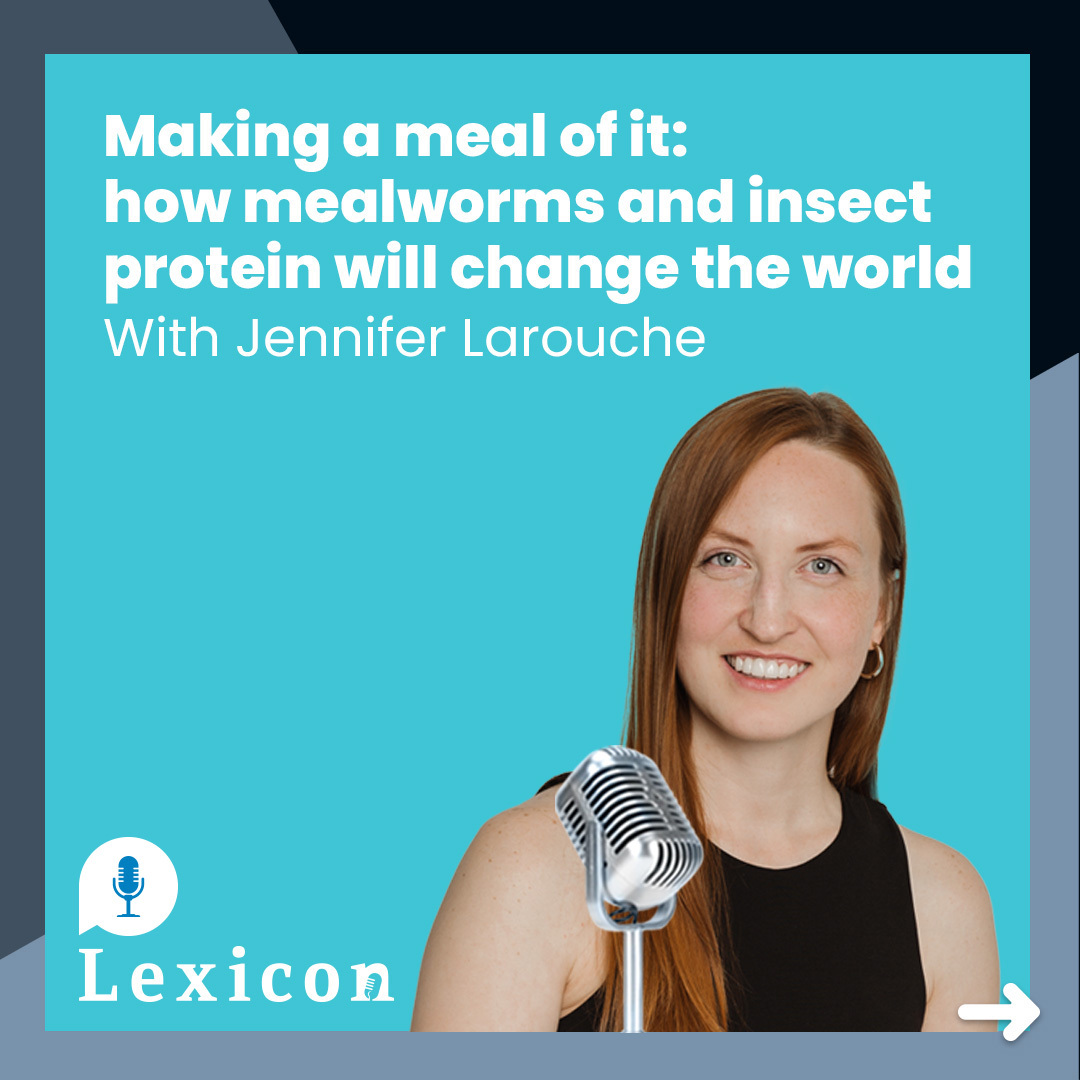 Making a meal of it: how mealworms and insect protein will change the world