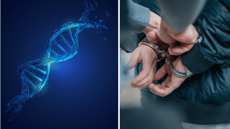 Forensic breakthrough: New DNA shedding test could help detectives nab criminals faster